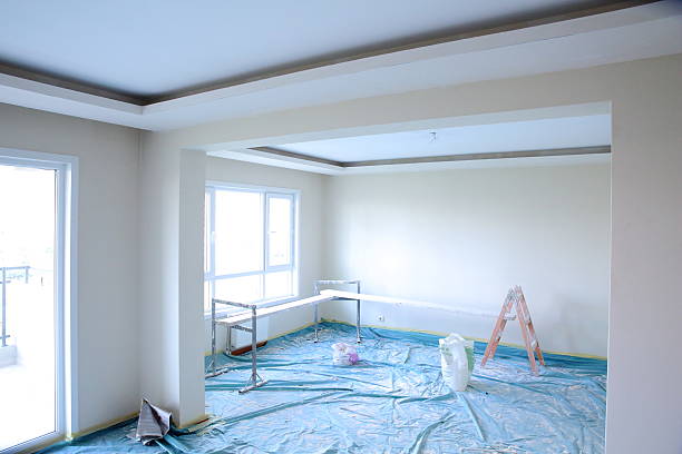 Best Drywall Installation  in Plainfield, IL